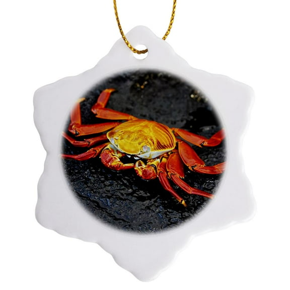 3drose, Sally Lightfoot Crab,grapsus Grapsus,santiago Island Galapagos, 3 inch Snowflake Porcelain Ornament