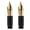 Golden, variant on 2PCS Majohn Flex Fountain Pen Nib Flexible Replacement Nib, Suitable for P136, P138 and P139 (#6 Nib) Series, Golden Silver