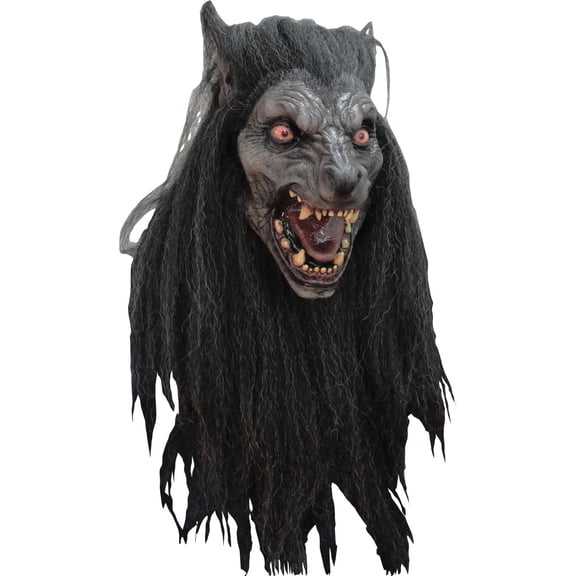 Black Moon Mask Adult Halloween Accessory