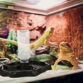 thumbnail image 2 of 1pc Small Pet Food and Water Bowl Feeder Container for Lizard Turtle Reptile (Coffee), 2 of 8
