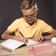 thumbnail image 5 of Estuche Escolar con Doble Compartimento Grande, Estuche para Lápices de Gran Capacidad, Niños Niñas Estudiantes Damas Hombres Niños Adolescentes Adultos, Rosa, 5 of 5