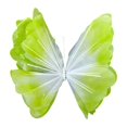 thumbnail image 1 of Mariposa artificial gigante para decoración, accesorios de fotografía, adorno divertido para manualidades. Gradiente verde, 1 of 9
