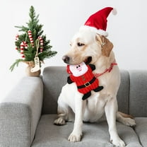 LEORX Squeaky Dog Toy Plush Santa Claus Chew for Small Dogs 1Set