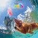 thumbnail image 3 of Juguete Balón Americano P/Perro Chew Flotante Fancy Pets Fancy Pets FL8778, 3 of 3