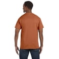 thumbnail image 3 of Mens 6.1 oz. Tagless T-Shirt 5250T (10 PACK), 3 of 3