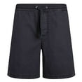 thumbnail image 1 of Weird Fish Mens Weston Canvas Shorts, 1 of 5