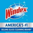 thumbnail image 5 of Windex Foaming Glass Cleaner, Fresh, 20 oz Aerosol Spray, 6/Carton (333813), 5 of 5