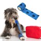 thumbnail image 5 of Vendaje autoadhesivo para patas de perro, de 5 cm x 4,5 m, con estampado de huellas de colores, no tejido, fácil de rasgar a mano., 5 of 8