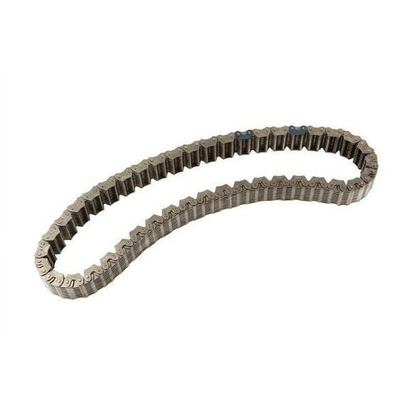 Transfer Case Drive Chain