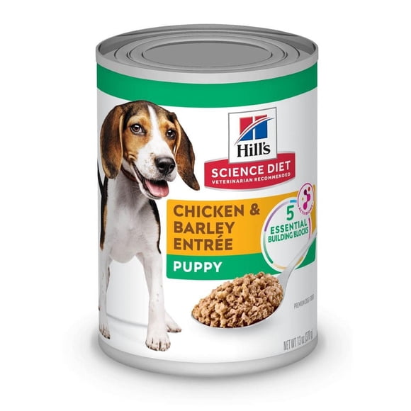 Hill's Science Diet Cachorro Puppy chicken barley 370g