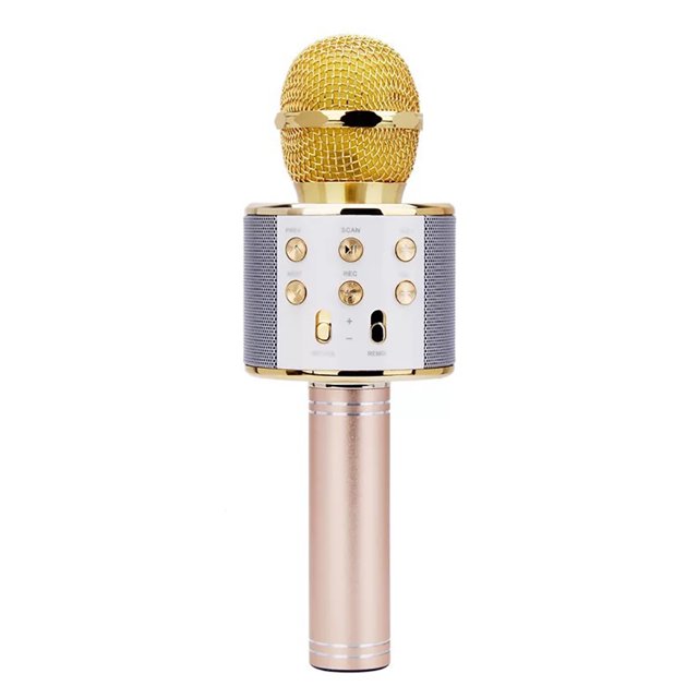 Microphone Sans Fil Multifonction Portable pour Karaoké