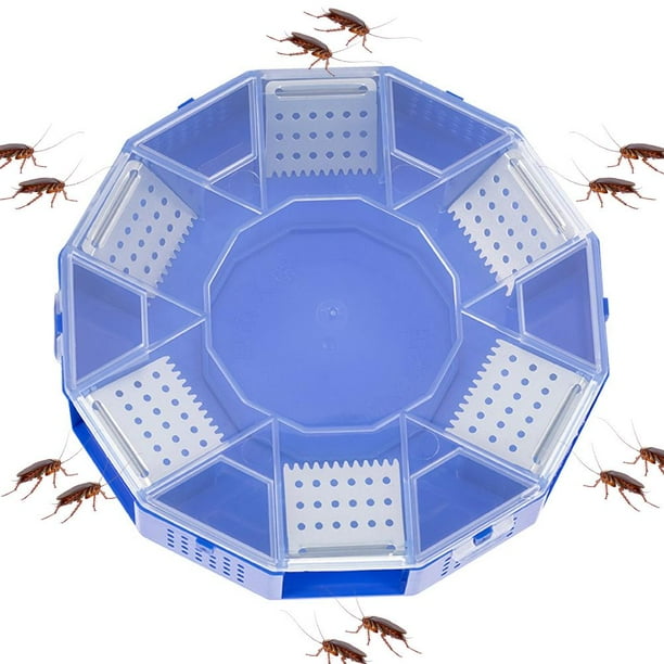Trampa Para Cucarachas, Caja Trampa Para Cucarachas Reutilizable No Tóxica, Control De Plagas Para Cocina Casera