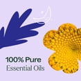 thumbnail image 5 of Plant Therapy Relaxation Synergy Set 100% Pure, Undiluted, Natural Aromatherapy, 5 of 9