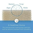 Honeywell Home HC26P Whole House Humidifier Pad, Paper, AntiMicrobial