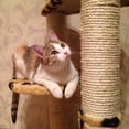 thumbnail image 6 of Petoto 1 in x 50 ft Thick Jute Rope, 4 Strand Twisted Manila Hemp Rope, Jute Rope for Crafts/Cat Scratching Rope/Camping/Gardening, 6 of 12