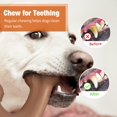 thumbnail image 4 of Juguetes resistentes para perros NQ masticar agresivos interactivos, 4 of 4