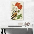 thumbnail image 2 of ARTCANVAS Flower Book Canvas Art Print by Maria Sibylla Merian - Size: 26" x 18" (0.75" Deep), 2 of 9