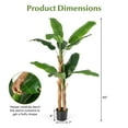 thumbnail image 3 of Costway 1 PCS 5.5 FT Tall Artificial Banana Tree with 10 Large Leaves Double Stalks Natural Bark, 3 of 9