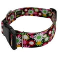 thumbnail image 3 of Country Brook Petz® 1 1/2 inch Deluxe Daisy Fields Dog Collar, Large, 3 of 5