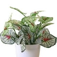 thumbnail image 5 of Visland 10.2” Artificial Bonsai in Green Grass Plastic Pot, 5 of 5