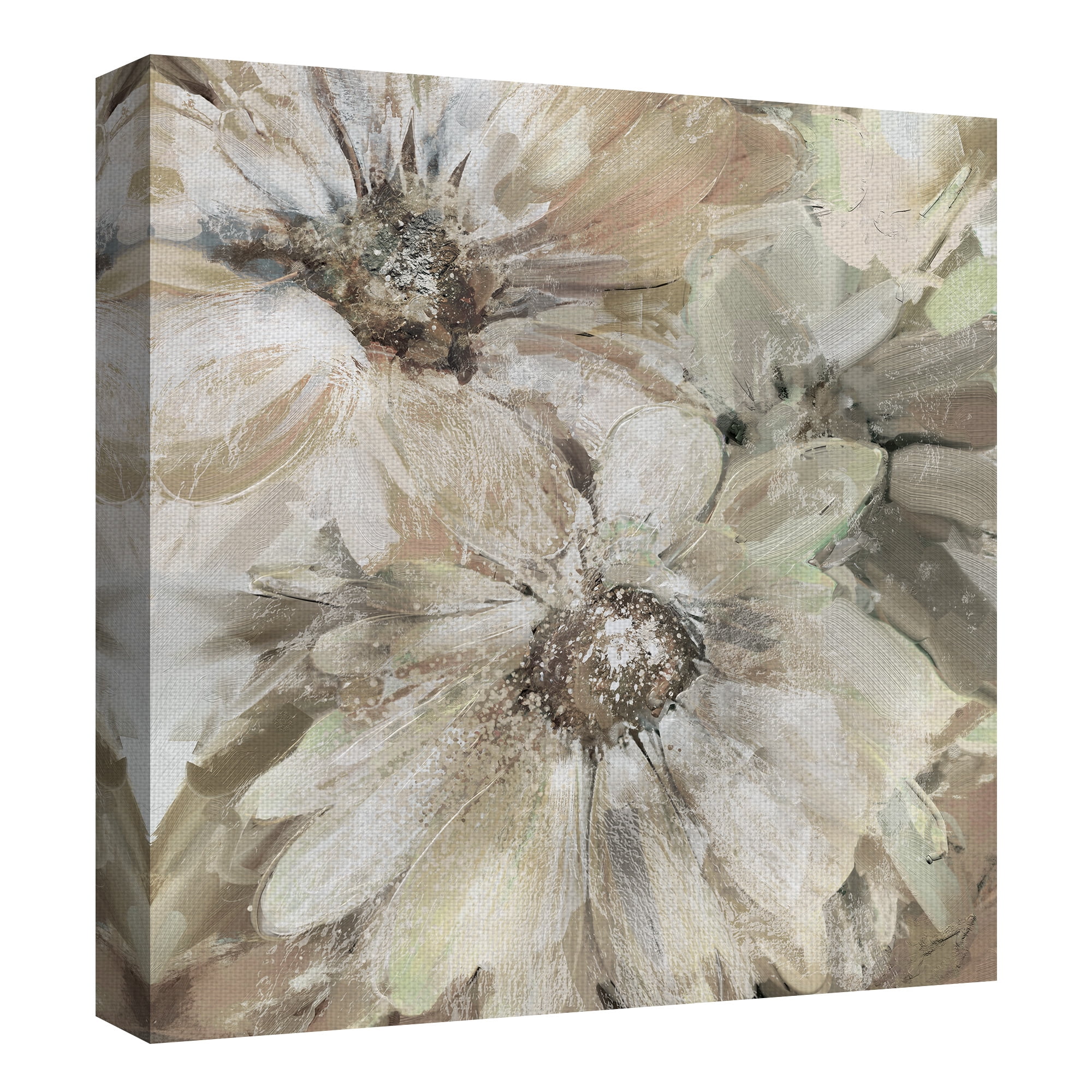 Masterpiece Art Gallery Precious Pink Daisies Soft Square by Studio Arts Canvas Art Print 30" x 30"