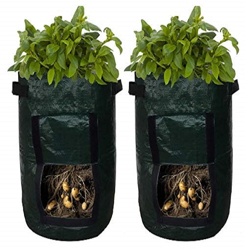 Potato Tomato Bag Planter Grow Your Own Sack Spuds Tub Patio Potatoes Garden 