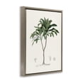thumbnail image 2 of Stupell Industries Bohemian Coastal Palms Vintage Brown Floating Frame Canvas Art, 17 x 21, by Val Rhodes, 2 of 8