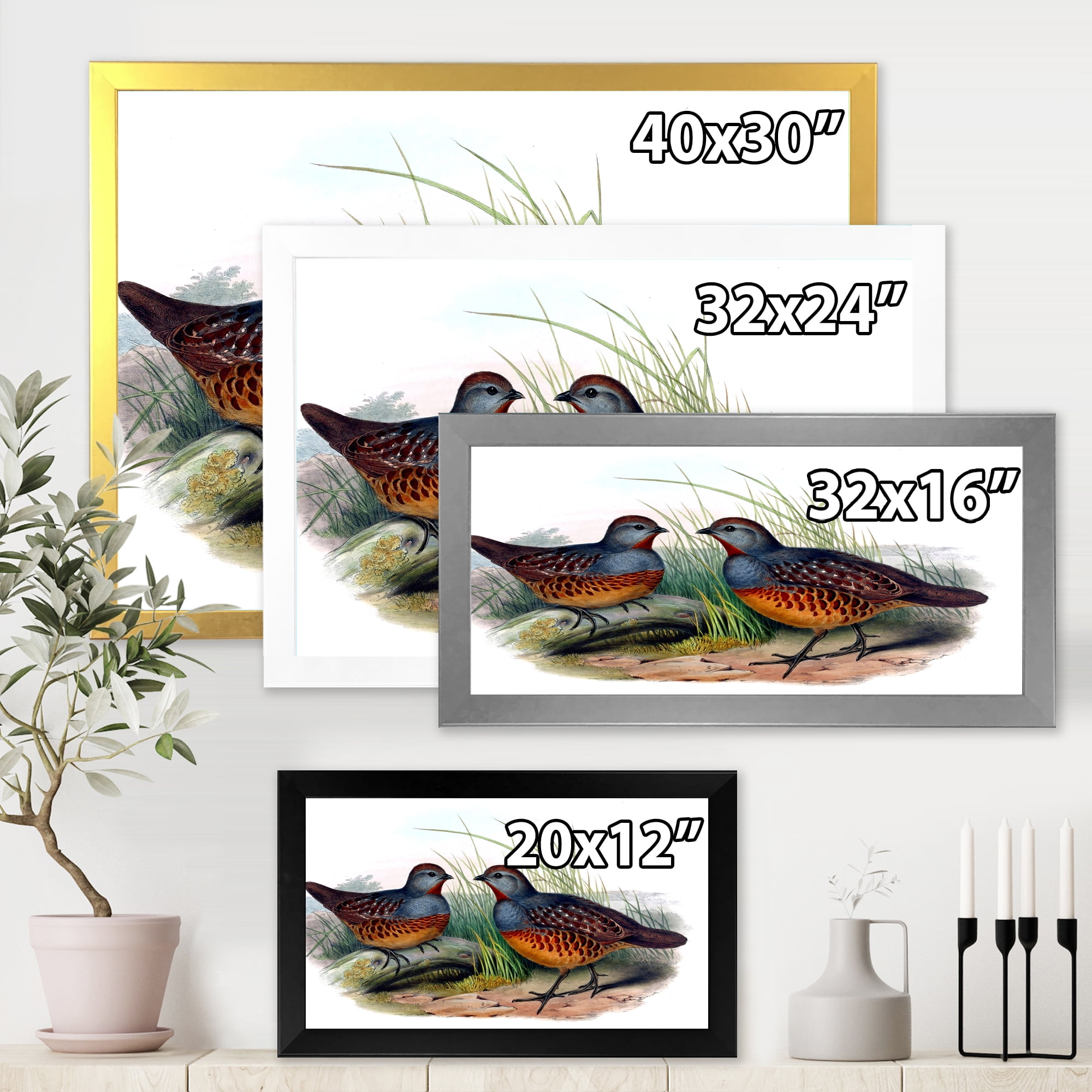 Designart 'Ancient Birds In The Wild VII' Traditional Framed Art Print