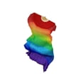 thumbnail image 3 of Xingzhi Rainbow Led Dance Fans with LED Lights Belly Dance Prop Stage Activity Tool, 3 of 9