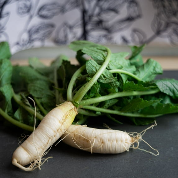 Radish Seeds - Korean - Passion Altari - Hybrid - 1 Lb ~96000 Seeds - Non-GMO, F1 Hybrid - Asian Garden Vegetable