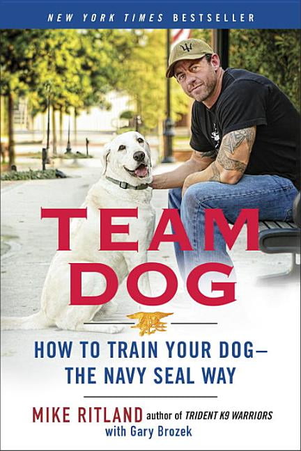 team dog training