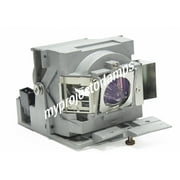 Viewsonic RLC-103 Projector Lamp with Module