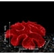 thumbnail image 1 of Acuario Pecera Decoración Resina Decoración Grupo Rojo Coral Imitación Coral Decración Pecera Ornamental Coral Artificial Plantas Marinas para Peces Paisajismo JFHHH pequeña, 1 of 4
