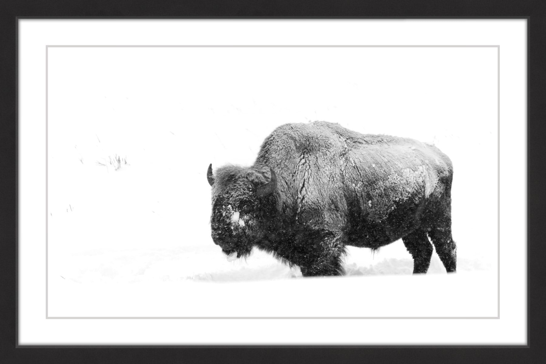 "Winter Coat" Framed Painting Print