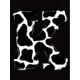 thumbnail image 2 of Chic Leopard Print & Letter Graphic Tee for Women - Casual Crew Neck Short Sleeve T-Shirt, Stretchy Polyester Blend, Machine Washable - Perfect for Summer, 2 of 6