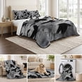 thumbnail image 6 of Quilts Queen Size Bedding Set, Black Crow Birds Lightweight Quilted Comforter, Abstract Spooky Grey Sky Wings Soft Reversible Bedspread Coverlet with Pillow Covers for All Season, 90" x 96", 6 of 9