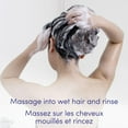 thumbnail image 2 of Dove Daily Moisture Shampoo, 2 of 8