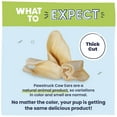 thumbnail image 3 of Pawstruck Premium Cow Ears for Dogs, Natural Single Ingredient Chew, 10 count, 3 of 8