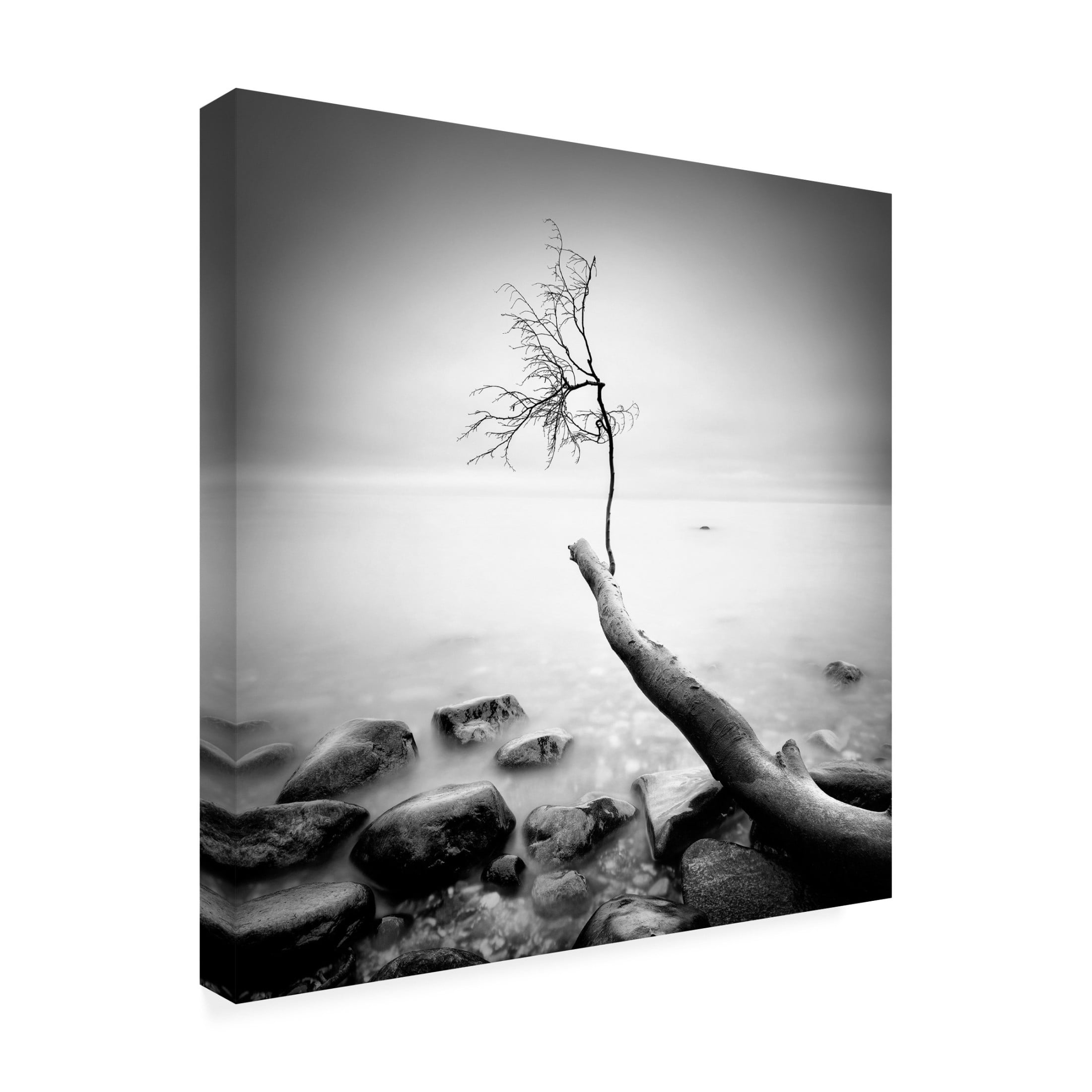 Canvas Wall Art - Marek Kijevsky 'Lost' Wall Art for Living Room, Bedroom, or Office Décor by Trademark Fine Art - 14 x 14 Inches