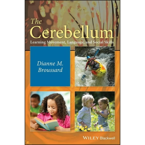 The Cerebellum, (Hardcover)