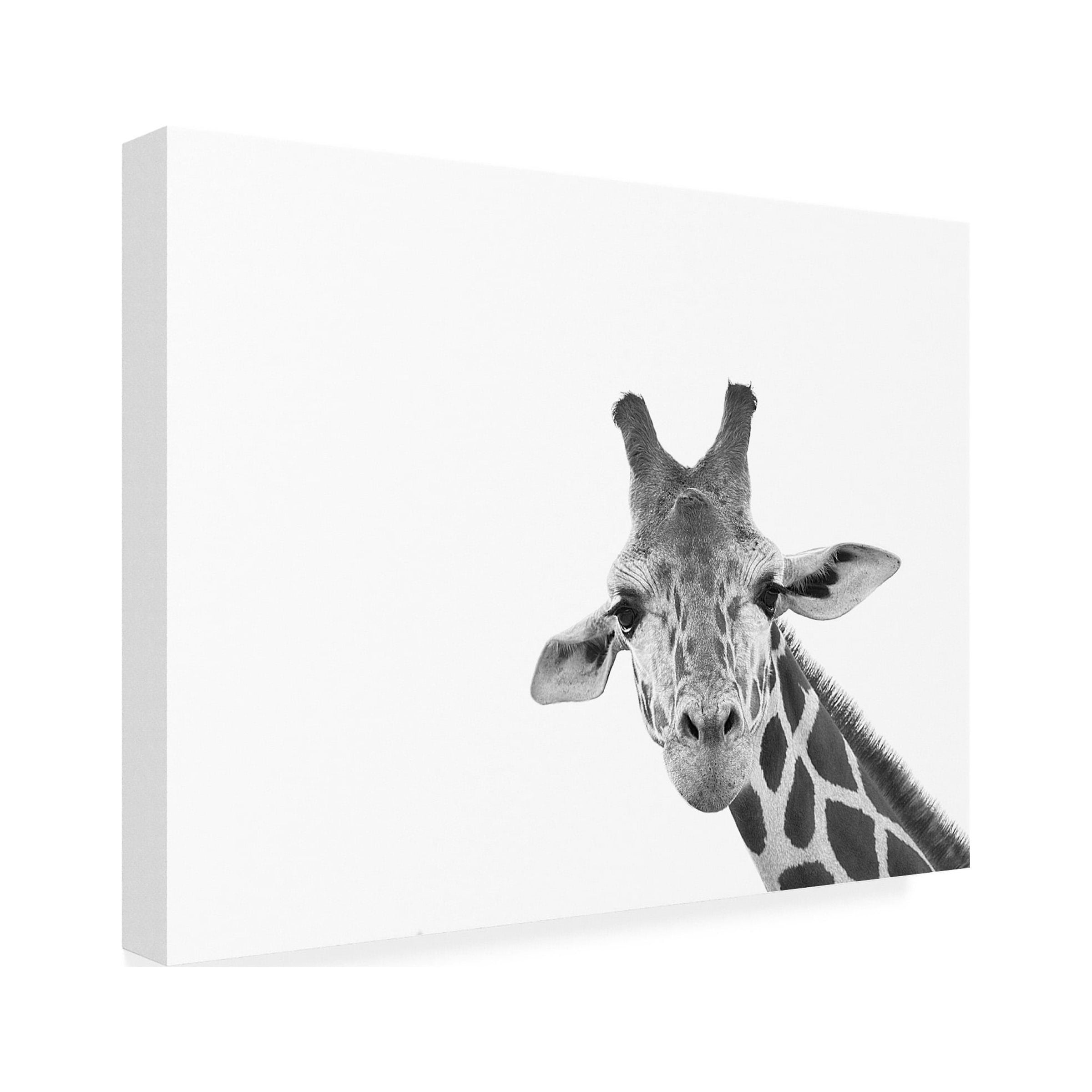 Lori Hutchison 'Giraffe' Canvas Art