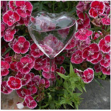 6 Types Glass Plant Flowers Water Feeder Self Watering Bird Design