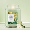 thumbnail image 2 of Yankee Candle Honeysuckle Grove Original Large Jar Scented Candles, 22 oz, 2 of 6