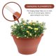 thumbnail image 5 of 2 unids colgando macetas de la planta verde colgando ollas de alcantarillado colgando macetas HOMEMAXS 11168747-MX, 5 of 6