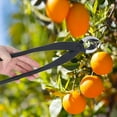 thumbnail image 2 of Branch Potted Cutter Garden Scissor Bonsai Branch Cutter 275mm For Outdoor, 2 of 8