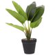 thumbnail image 1 of 1 pieza de simulación de planta verde para decoración del hogar, simulación de decoración de plantas en maceta., 1 of 7