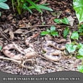 thumbnail image 2 of Juguete de serpiente falsa Gelabur, broma realista de goma para Halloween, 2 of 7
