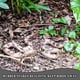 thumbnail image 2 of Juguete de serpiente falsa Gelabur, broma realista de goma para Halloween, 2 of 7