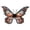 D, variant on HHJZPR 33.1in Halloween Fairy Butterfly Wings Costume, Large Print Fabric Elf Wing Accessory for Cosplay Party Dress Up