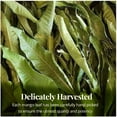 thumbnail image 2 of 5.2oz Dried Mango Leaves  Hojas de Mango Secas , 100% Natural Leaf Tea , Non-GMO, Herbal Loose Tea , Caffeine-Free by Akshit, 2 of 9